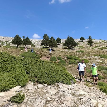 Coll de NargóDinosaur House公寓 外观 照片