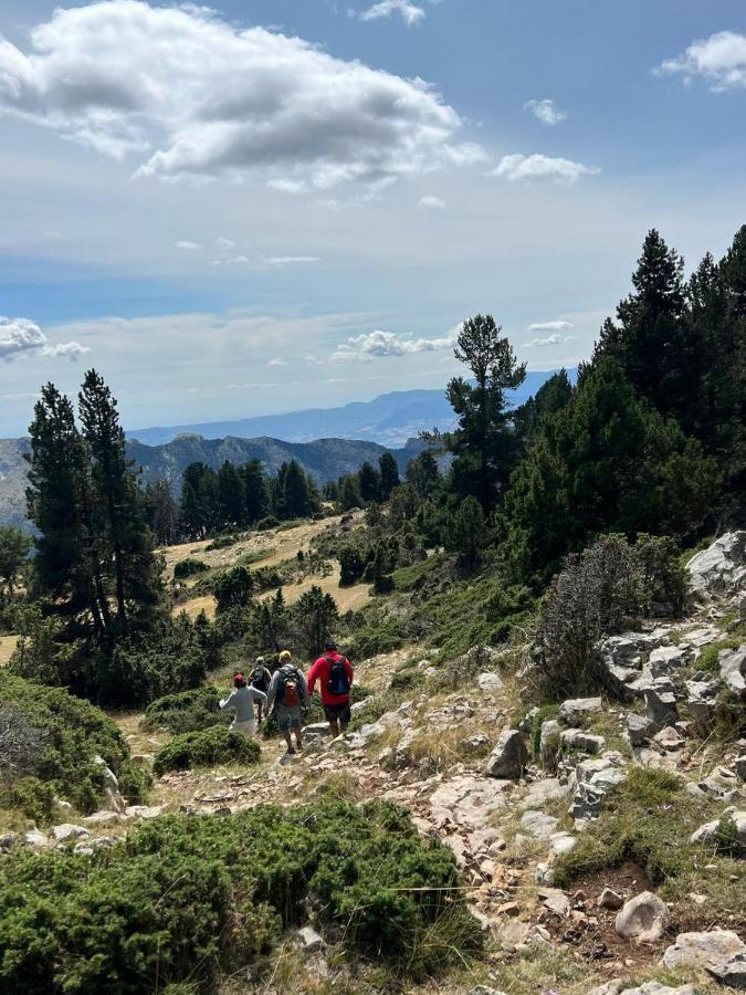 Coll de NargóDinosaur House公寓 外观 照片