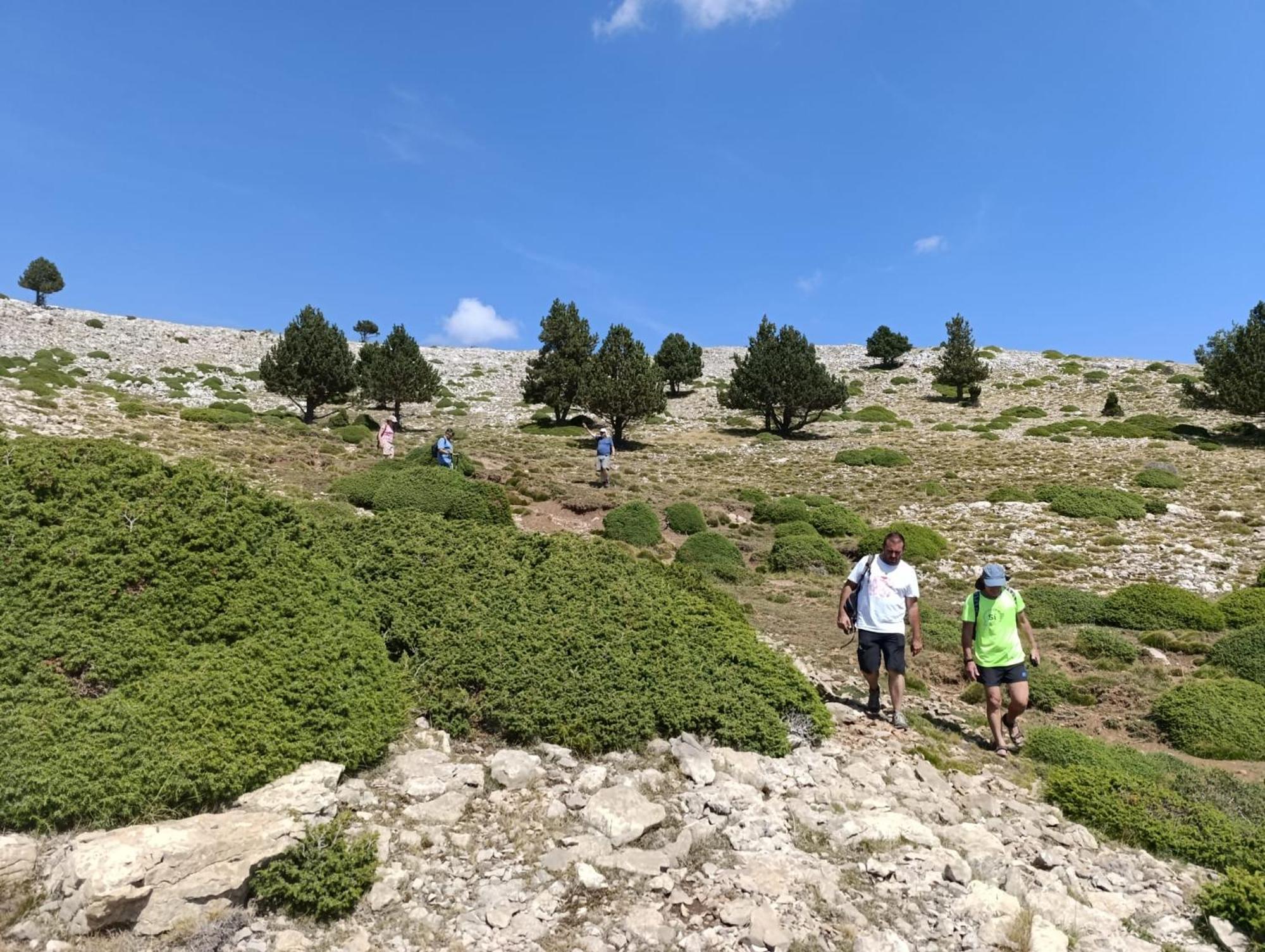 Coll de NargóDinosaur House公寓 外观 照片